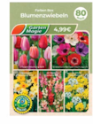 Blumenzwiebeln im Angebot bei Netto Marken-Discount in Zwickau Blumenzwiebeln Angebote von Garten Magie bei Netto Marken-Discount Zwickau für 0,99 €