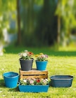 Garden Dream Metall Blumentopf oval von Netto Eigenmarke im aktuellen Netto mit dem Scottie Prospekt