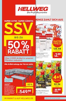 Sofa im Hellweg Prospekt "Die Profi-Baumärkte" mit 24 Seiten (Osnabrück)