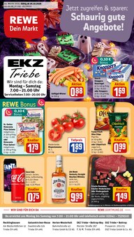 Fleisch im REWE Prospekt "Dein Markt" mit 31 Seiten (Bottrop)