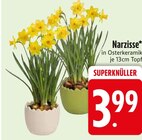 Narzisse im EDEKA Prospekt Narzisse von im aktuellen EDEKA Prospekt für 3,99 €