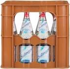 Mineralwasser im Angebot bei Kaufland in Bochum Mineralwasser Angebote von Salinger bei Kaufland Bochum für 2,22 €