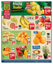Garten im EDEKA Prospekt in Friedrichshafen Aktueller EDEKA Prospekt mit Garten, "Hochgenuss & Tiefpreise", Seite 4