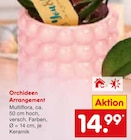 Aktuelles Orchideen Arrangement Angebot bei Netto Marken-Discount in Mannheim ab 14,99 €