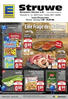 EDEKA Prospekt "Aktuelle Angebote" mit  Seiten (Essen)