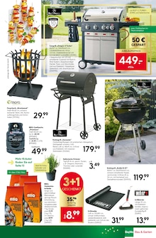 Grillkohle im BayWa Bau- und Gartenmärkte Prospekt "Jubiläums-angebote" mit 16 Seiten (Nürnberg)