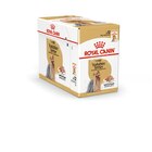 ROYAL CANIN© Breed Health Nutrition Yorkshire Terrier Adult Frischebeutel 12 x 85 g bei Zookauf im Damme Prospekt für 11,99 €
