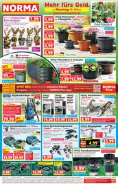 Aktueller Norma Prospekt mit Blumentopf, "Mehr fürs Geld", Seite 1
