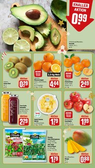 Äpfel im aktuellen REWE Prospekt (Braunschweig) Äpfel im REWE Prospekt "Dein Markt" mit 22 Seiten (Braunschweig)