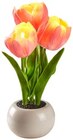 LED-Tulpen im Topf Angebote bei Penny Baden-Baden für 3,00 €