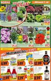 Schnittblumen Angebot im aktuellen Norma Prospekt auf Seite 12