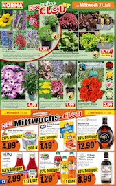 Pflanzen Angebot im aktuellen Norma Prospekt auf Seite 12