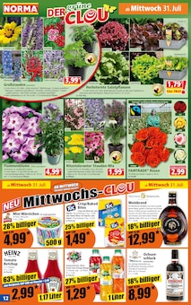 Blumen Angebot im aktuellen Norma Prospekt auf Seite 12