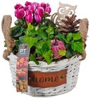 Herbstzauber »Home« im Angebot bei REWE in Münster Herbstzauber »Home« Angebote bei REWE Münster für 11,00 €