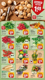 Ähnliche Zitronenbaum Angebote im Prospekt "Dein Markt" von REWE in Schwerin Ähnliche Angebote wie Zitronenbaum im Prospekt "Dein Markt" auf Seite 7 von REWE in Schwerin