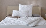 Aktuelles Ganzjahresbett Angebot bei Möbelzentrum Pforzheim in Heilbronn ab 11,99 €