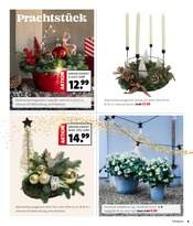 Weihnachtsdekoration im Blumen Ostmann Prospekt in Emden Aktueller Blumen Ostmann Prospekt mit Weihnachtsdekoration, "WEIHNACHTS-KNALLER", Seite 6