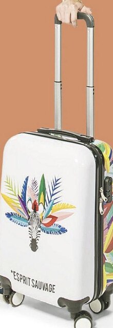 Valise cabine exotique - Géant Casino à Argenteuil Valise cabine exotique en promo chez Géant Casino Argenteuil à 29,90 €
