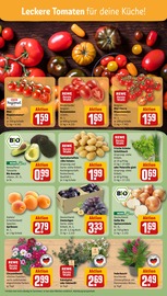 Pflanzen im REWE Prospekt in Rheda-Wiedenbrück Aktueller REWE Prospekt mit Pflanzen, "Dein Markt", Seite 7