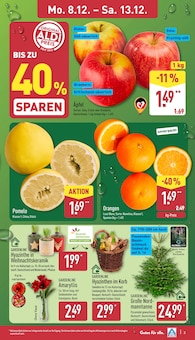 ALDI Nord Prospekt der aktuellen Woche, gültig von 08.12.2025 bis 13.12.2025 Aktueller ALDI Nord Prospekt "Aktuelle Angebote" mit 47 Seiten