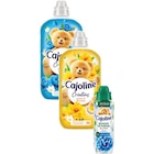 SUR TOUT - CAJOLINE dans le catalogue Carrefour