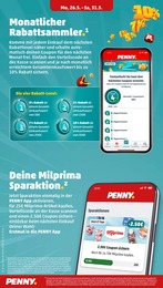 Penny Grillfackeln im Prospekt 