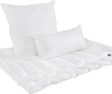 Kopfkissen ca. 40 x 80 cm im Angebot bei XXXLutz in Nordhorn Kopfkissen ca. 40 x 80 cm Angebote von CENTA-STAR bei XXXLutz Nordhorn für 39,99 €