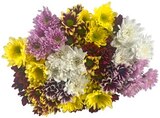Chrysanthemen im Angebot bei REWE in München Chrysanthemen Angebote bei REWE München für 3,33 €