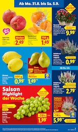 Garten im Lidl Prospekt Garten im Lidl Prospekt LIDL LOHNT SICH auf S. 3