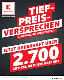 Kaufland Prospekt: "Aktuelle Angebote", 60 Seiten, 16.01.2025 - 22.01.2025