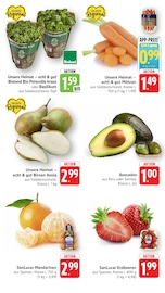 Aktueller EDEKA Prospekt mit Bio Lebensmittel, "Aktuelle Angebote", Seite 3