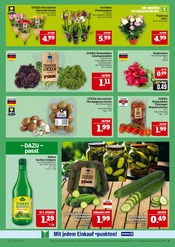 Ähnliche Angebote wie Obstbaum im Prospekt "AUSWAHL RIESIG, PREISE NIEDRIG" auf Seite 11 von Marktkauf in Bautzen