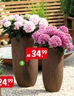 Aktuelle Blumentopf Angebote bei Raiffeisenmarkt in Hamm Aktuelles Pflanzvase Holzoptik Angebot bei Raiffeisenmarkt in Hamm ab 34,99 €