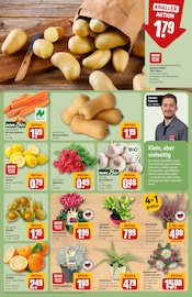 Ähnliche Putenflügel Angebote im Prospekt "Dein Markt" von REWE Ähnliches Angebot bei REWE in Prospekt "Dein Markt" gefunden auf Seite 9