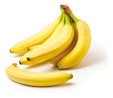 Colruyt Saint-Étienne - Promo Bananes variété Cavendish Promo Bananes variété Cavendish à 1,59 € dans le catalogue Colruyt à Saint-Étienne