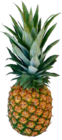 Aktuelles Ananas Angebot bei aktiv & irma in Oldenburg ab 2,69 €