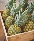 Intermarché Les Bordes - Promo Ananas Promo Ananas à 1,49 € dans le catalogue Intermarché à Les Bordes