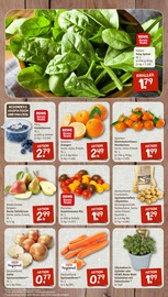 Aktueller nahkauf Prospekt mit Tierfutter, "nichts liegt näher", Seite 3