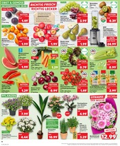 Aktueller Kaufland Prospekt mit Sellerie, "Aktuelle Angebote", Seite 10