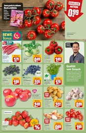 Knoblauch Angebote im Prospekt "Dein Markt" von REWE Knoblauch Angebote im Prospekt "Dein Markt" von REWE auf Seite 7