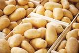 Pommes de Terre de Consommation à 3,78 € dans le catalogue Netto