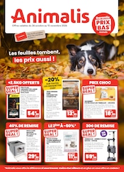 Prospectus Jardineries & Animaleries Animalis en cours à Courrières et alentours, "Les feuilles tombent, les prix aussi !", 12 pages, 26/10/2026 - 15/11/2026 Catalogue Jardineries & Animaleries Animalis en cours à Courrières et alentours, "Les feuilles tombent, les prix aussi !", 12 pages, 26/10/2026 - 15/11/2026