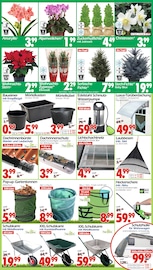 Aktueller Wreesmann Prospekt mit Schubkarre, "DEIN SAISON- & SONDERPOSTENMARKT!", Seite 15