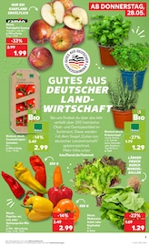 Kräutertopf Angebote im Prospekt "Hier bin ich richtig" von Kaufland Kräutertopf Angebote im Prospekt "Hier bin ich richtig" von Kaufland auf Seite 8