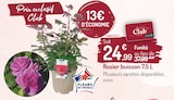 Botanic Épinal - Promo Rosier buisson 7,5 L Promo Rosier buisson 7,5 L à 24,99 € dans le catalogue Botanic à Épinal