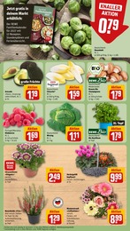 Rosenkohl Angebot im aktuellen REWE Prospekt auf Seite 11