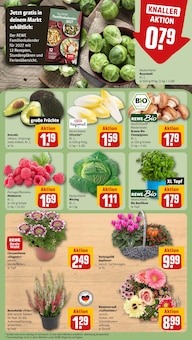 Besenheide Angebot im REWE Prospekt, gültig von 19.10.2026 bis 24.10.2026 Besenheide Angebot im aktuellen REWE Prospekt auf Seite 11