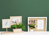 Woolworth - Bilderrahmen Angebot im Prospekt Bilderrahmen bei Woolworth im Prospekt "" für 8,00 €