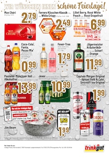 Coca Cola im Trinkgut Prospekt "Aktuelle Angebote" mit 12 Seiten (Ettlingen)