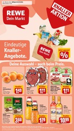 REWE Prospekt für Eppstein: "Dein Markt", 17 Seiten, 22.07.2024 - 27.07.2024